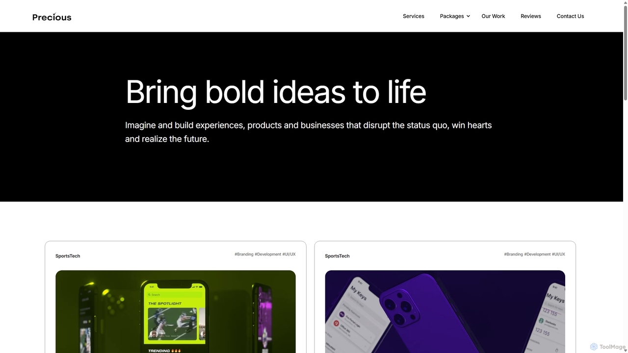 Case Studies for Precious