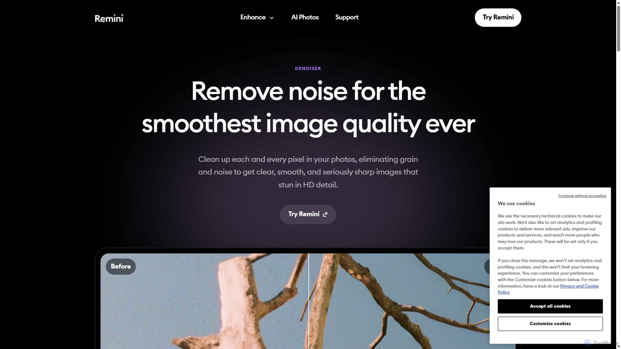 Remove Noise from Your Photos with Remini - Get Clear & Crisp Images for Remini