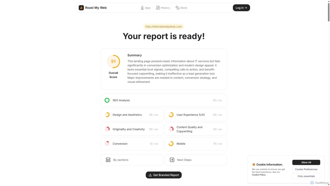 Website Report for Roast My Web