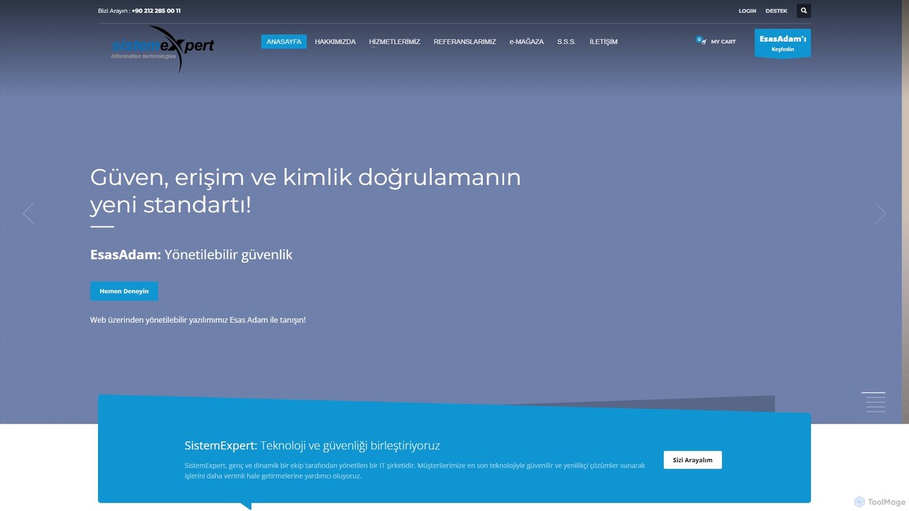 Sistem Expert