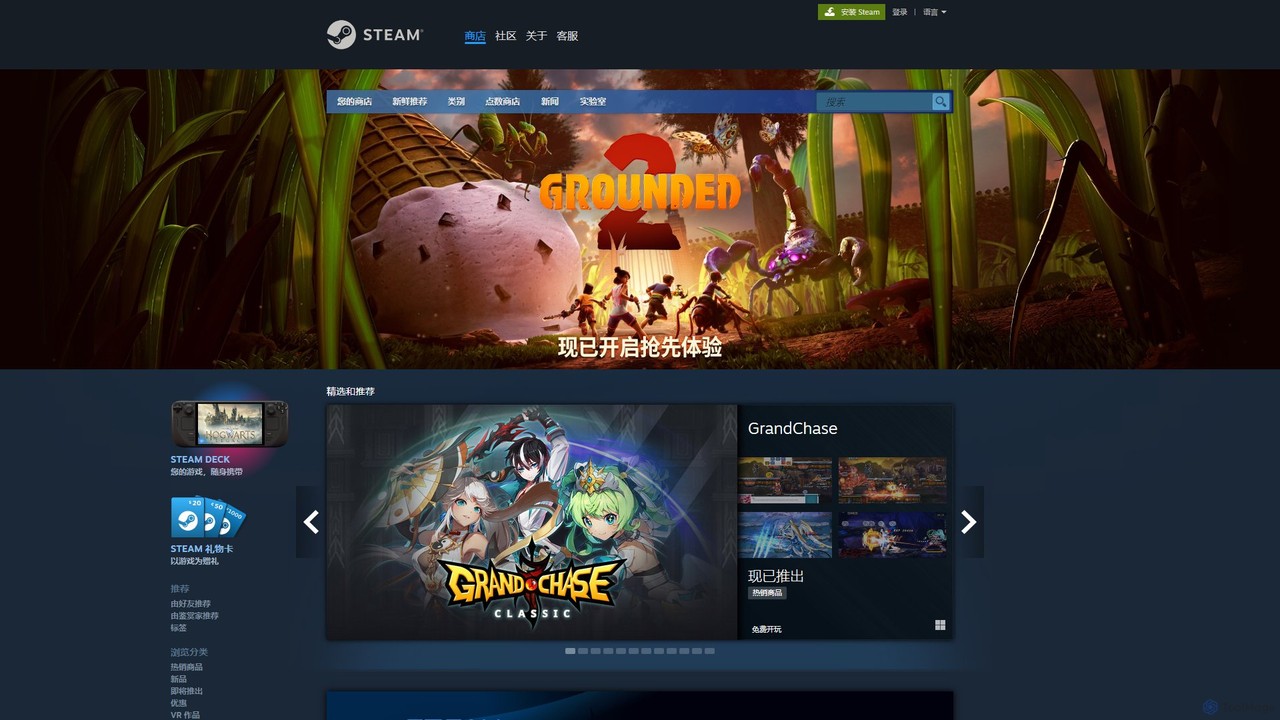 Steam