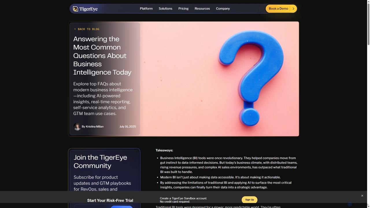 Answering the Most Common Questions About Business Intelligence Today | TigerEye for TigerEye