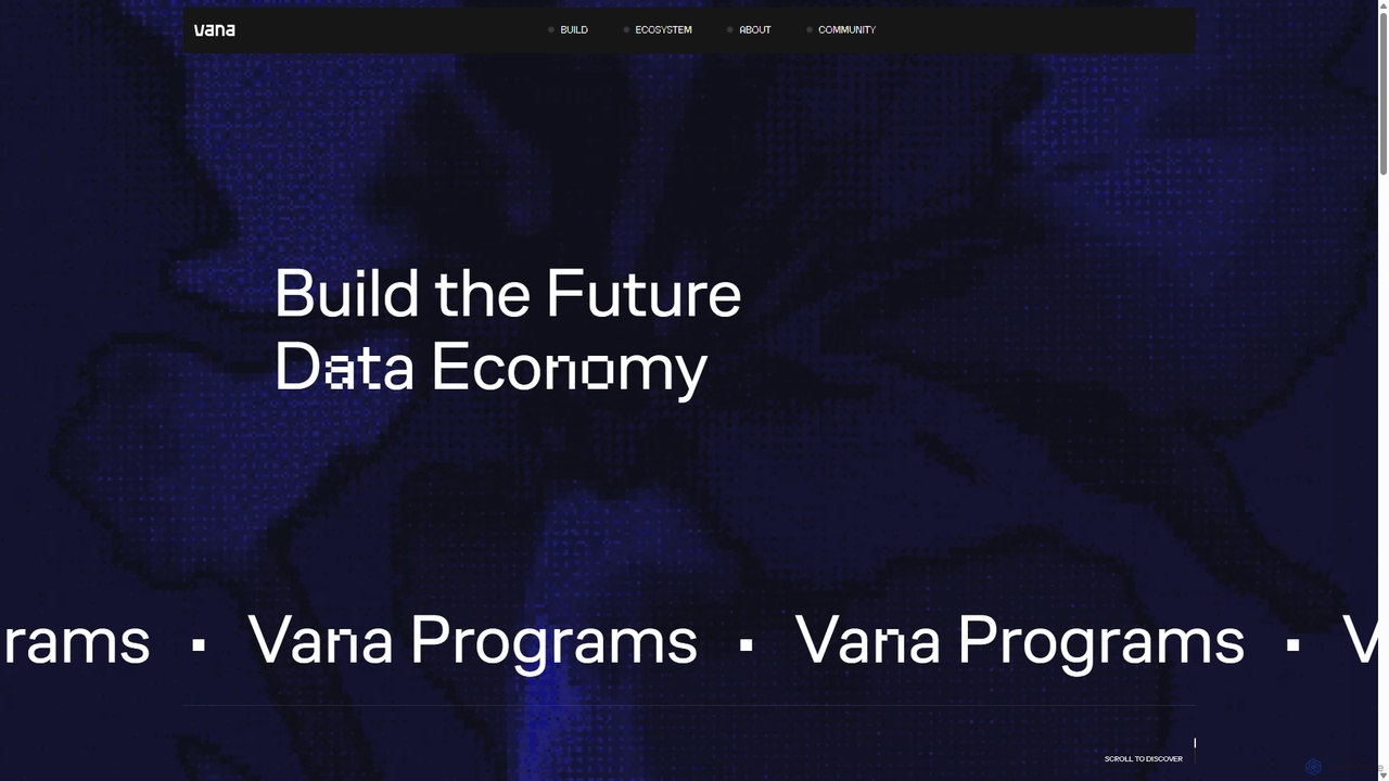 Vana Build Programs for Vana
