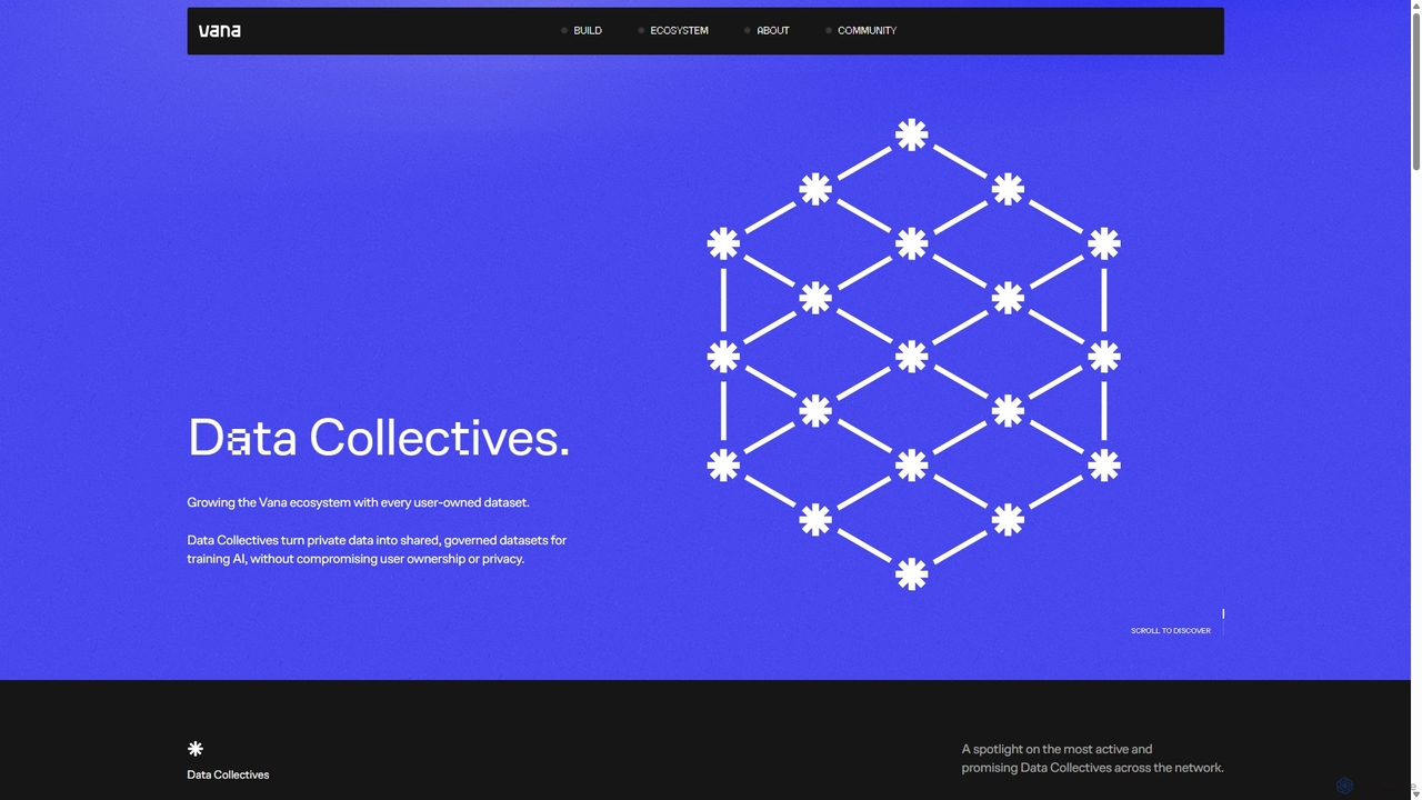 Vana Data Collectives for Vana
