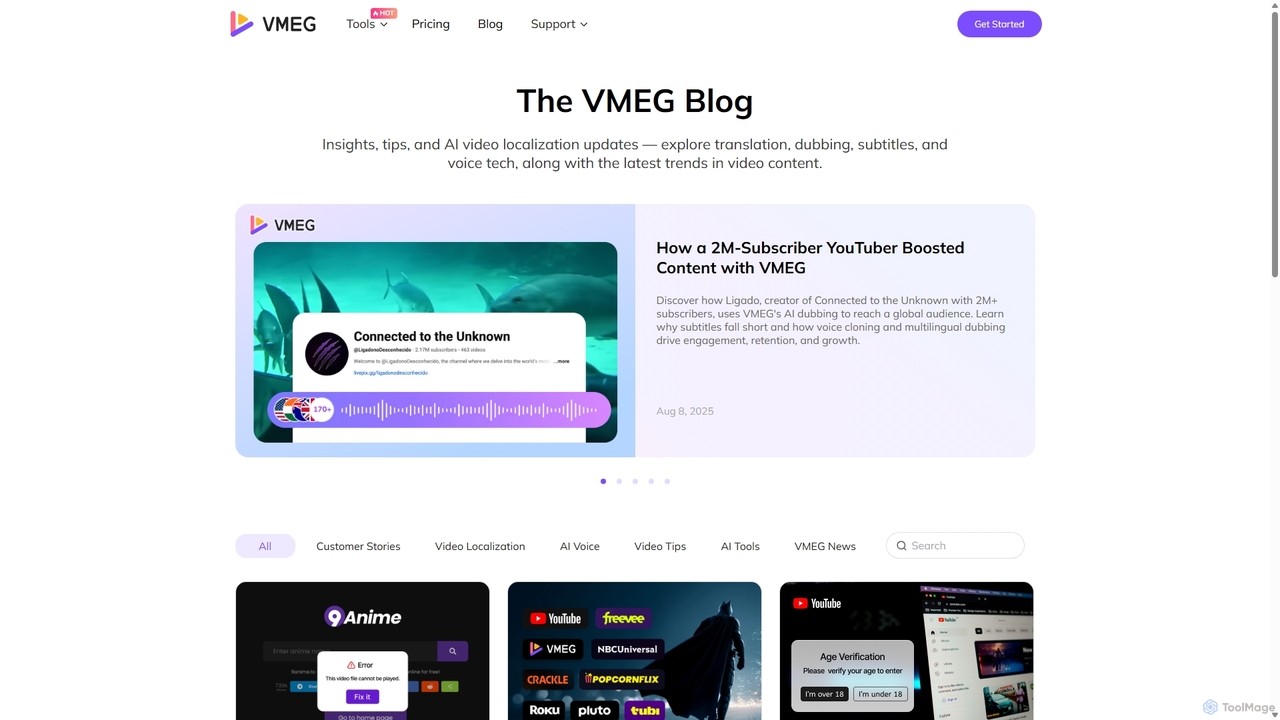 VMEG Blog - Insights for Video Translation for VMEG