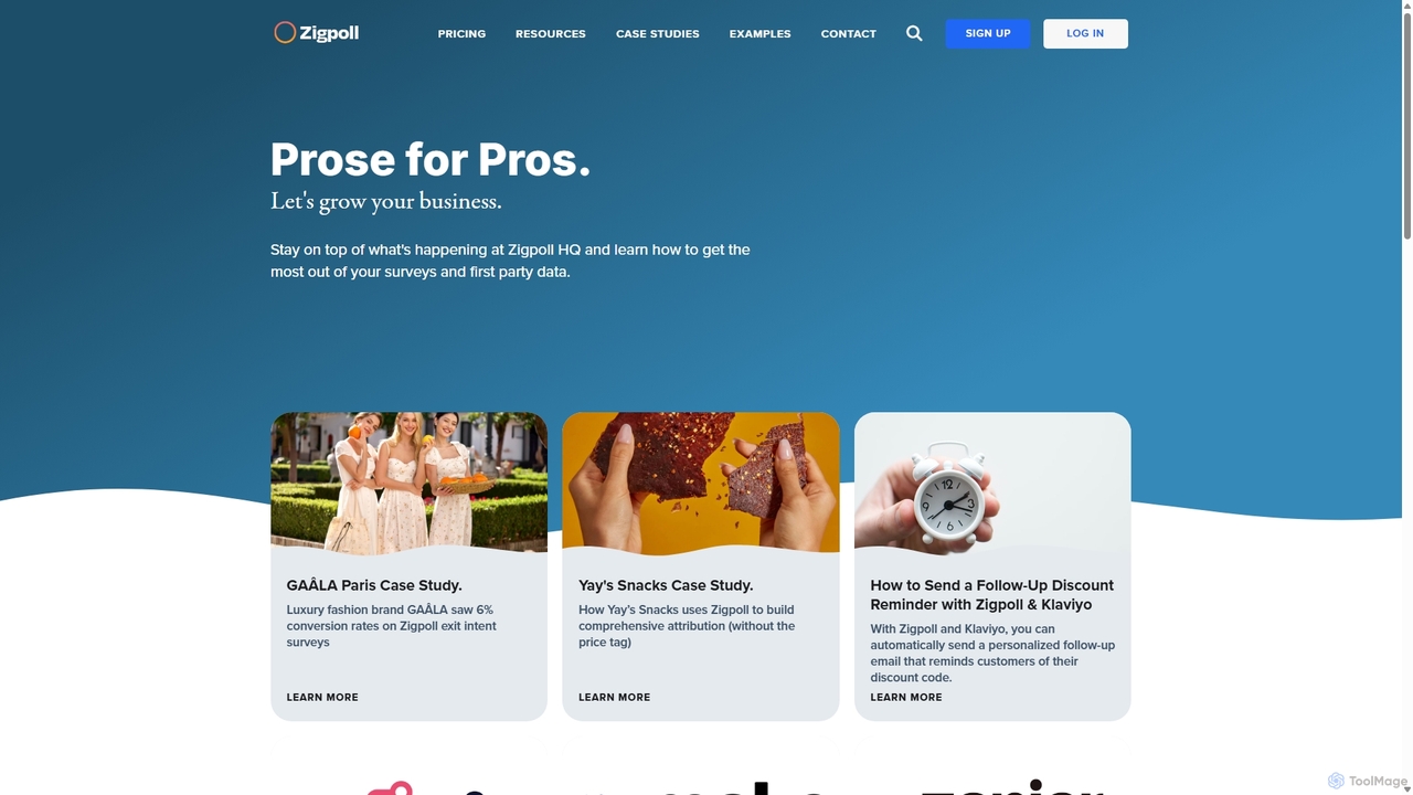 Zigpoll Blog - Polls, Surveys, Feedback, and Inbound Marketing for Zigpoll