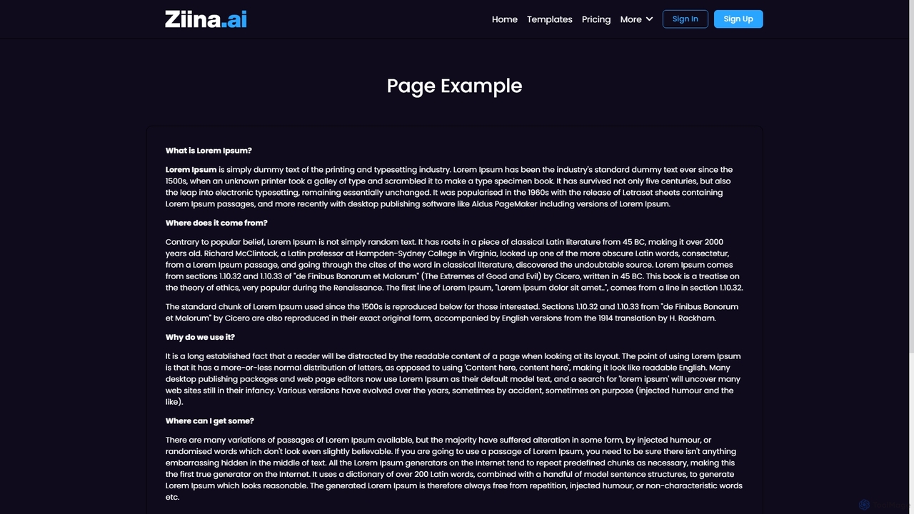 Ziina.Ai — Page Example for Ziina