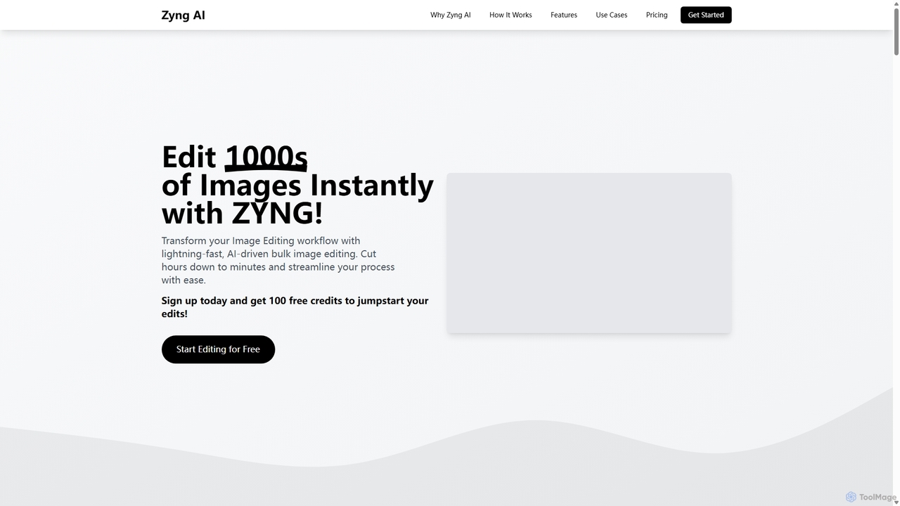 Zyng AI
